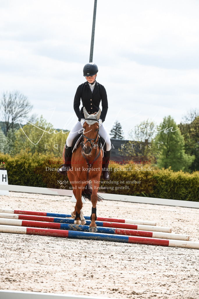 20230518_JK-Röhrsdorf-10-110 | Pferde- und Turnierfotografie in Westsachsen. Pferdeportraits, Auftragszeichnungen und intuitive Kunst.