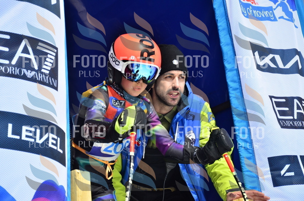 _ELE1364 | holidayphoto