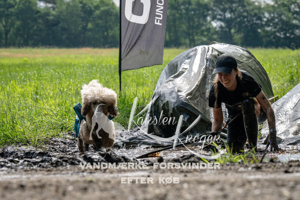 0913_ZZ90438 | kk-dogfotos