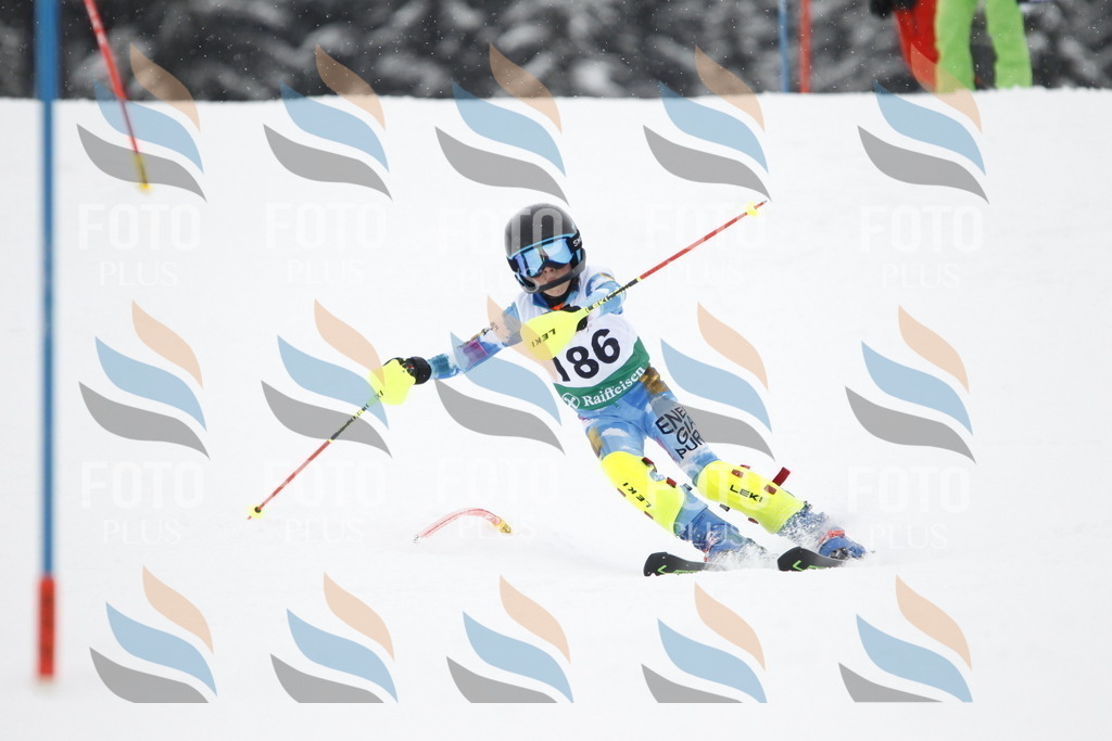 A2134 | holidayphoto