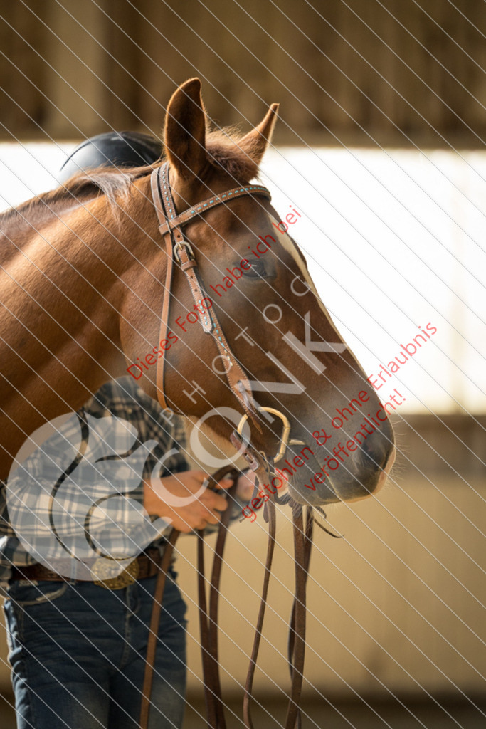 CON_2844 | Sport-, Event- und Tierfotos in Profiqualität. Einfach auswählen, bestellen und herunterladen. Dein Moment – perfekt festgehalten.