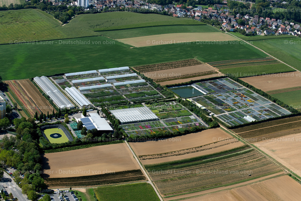 3902609 | Gärtnerei an der Maasstrasse, Neckargartach