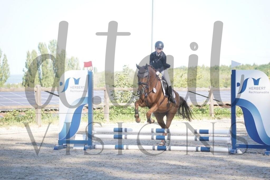 tgbhsonntag (106) | d.tail Visions - Shop - Realisiert mit Pictrs.com