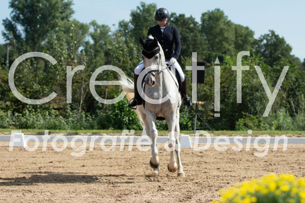 IMG_2451 | Creatify Fotografie