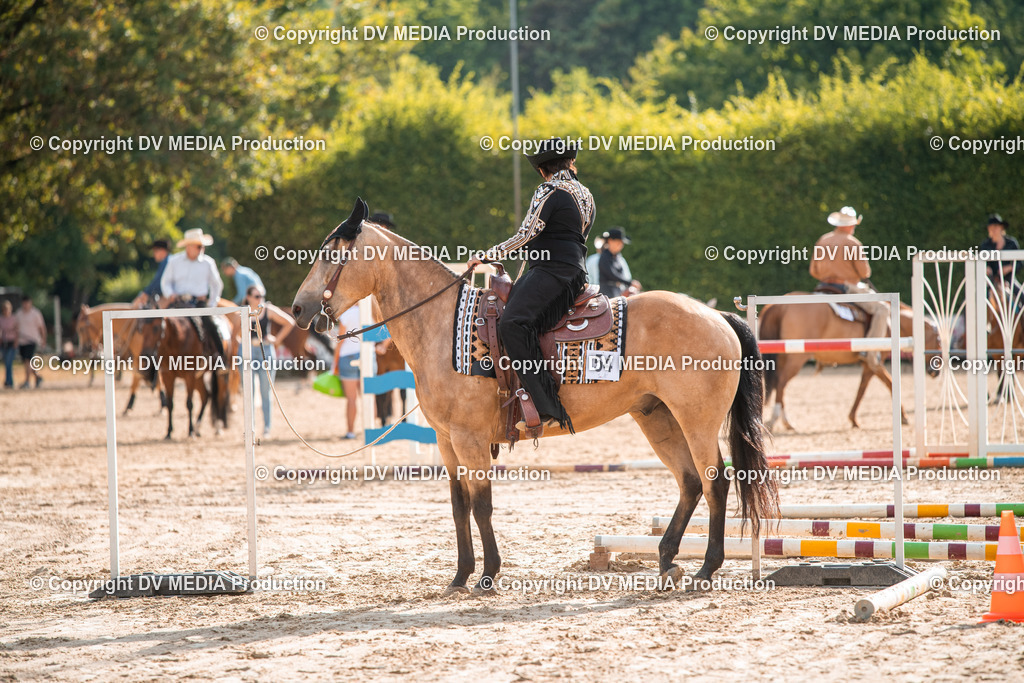 ZS3_9121 | dv-media-shop - Realisiert mit Pictrs.com