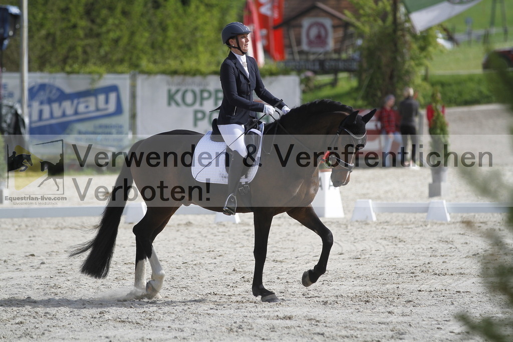 _MG_8505 | equestrian-live-com
