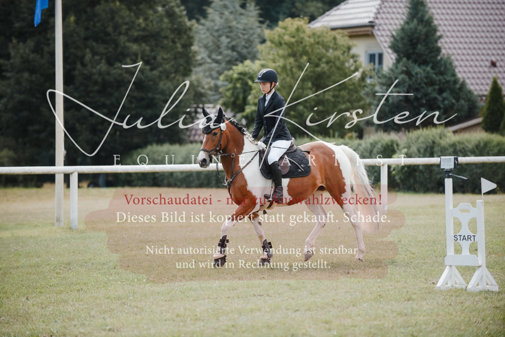 DSC_5444 | Pferde- und Turnierfotografie in Westsachsen. Pferdeportraits, Auftragszeichnungen und intuitive Kunst.