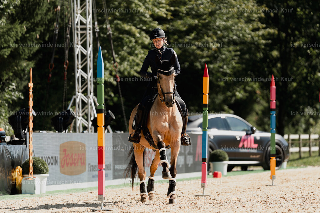 Diana11_FHC2025-09014 | working equitationturnier fotograf videograf stoibphotography marixx film working equitation deutschland reitsport turnierfotografie eventfotografie equestrian events