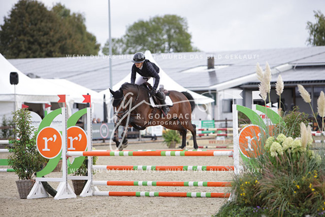 1J2A1927Britta Braunert_ Convolto PS_ Kn289_ HavekostAntonia Selina Brinkop_ Con Calma 3_ Kn261_ Havekost | Foto- und Videografie für alles rund ums Pferd. Hochwertige Bilder und Videos vom Spring- und Dressurreiten, Voltigieren & mehr. Jetzt aktuelle Veranstaltungen und Preise im Shop ansehen. - Realisiert mit Pictrs.com