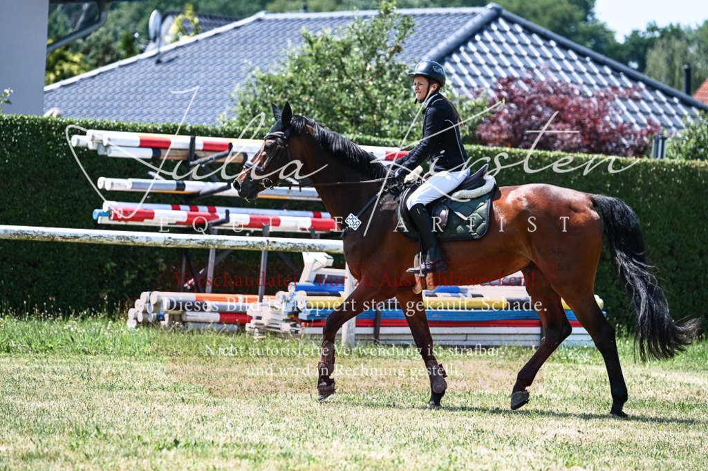 DSC_9856 | Pferde- und Turnierfotografie in Westsachsen. Pferdeportraits, Auftragszeichnungen und intuitive Kunst.