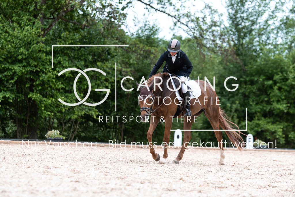 DSC_8277 | Turnierfotografin Carolin Gieschke, Turnierfotografie Carolin G Fotografie, Turnierfotos Kirchheim/Teck, Esslingen, Stuttgart, Bodenseekreis