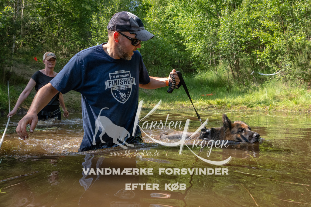1636DKK990982 | kk-dogfotos