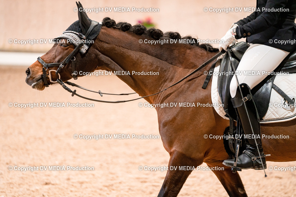 Dressur Tag 2-48 | dv-media-shop - Realisiert mit Pictrs.com