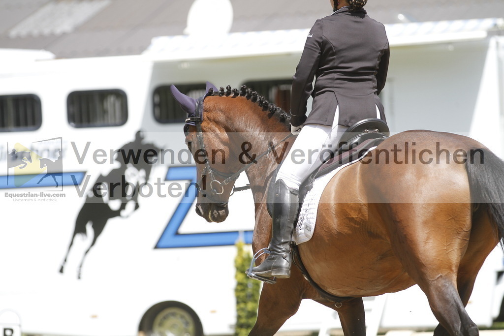 _MG_0854 | equestrian-live-com