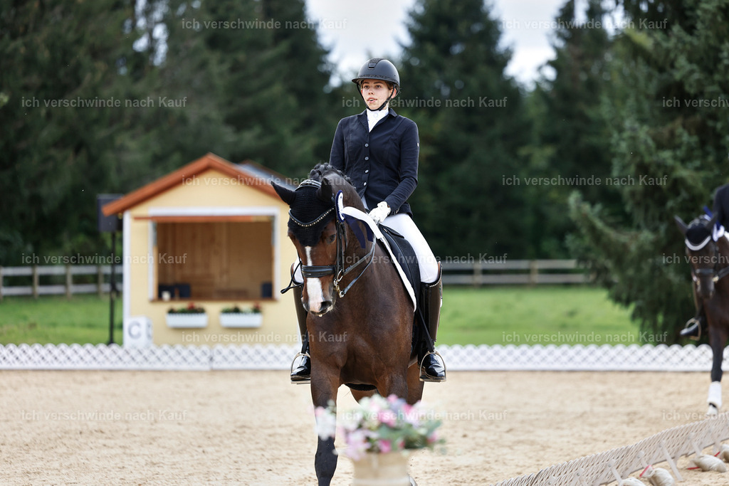 3-Siegerehrung-Dressur M_-StoibPH-2587 | working equitationturnier fotograf videograf stoibphotography marixx film working equitation deutschland reitsport turnierfotografie eventfotografie equestrian events