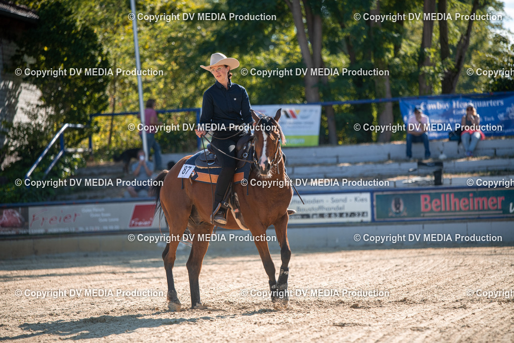 EWP_7031 | dv-media-shop - Realisiert mit Pictrs.com