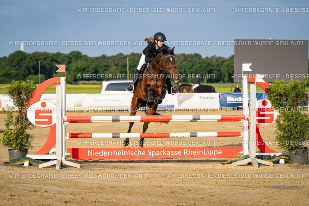 DSC02017 | Pferdegrafie