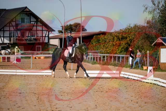 2026_10_03_Siefer-Hof_113638_Z63_21814437 | Professionelle Reitsport-, Turnier- und Eventfotografie von Robert Broda. Galerien mit ausgewählten und bearbeiteten Bildern direkt online ansehen und bestellen.