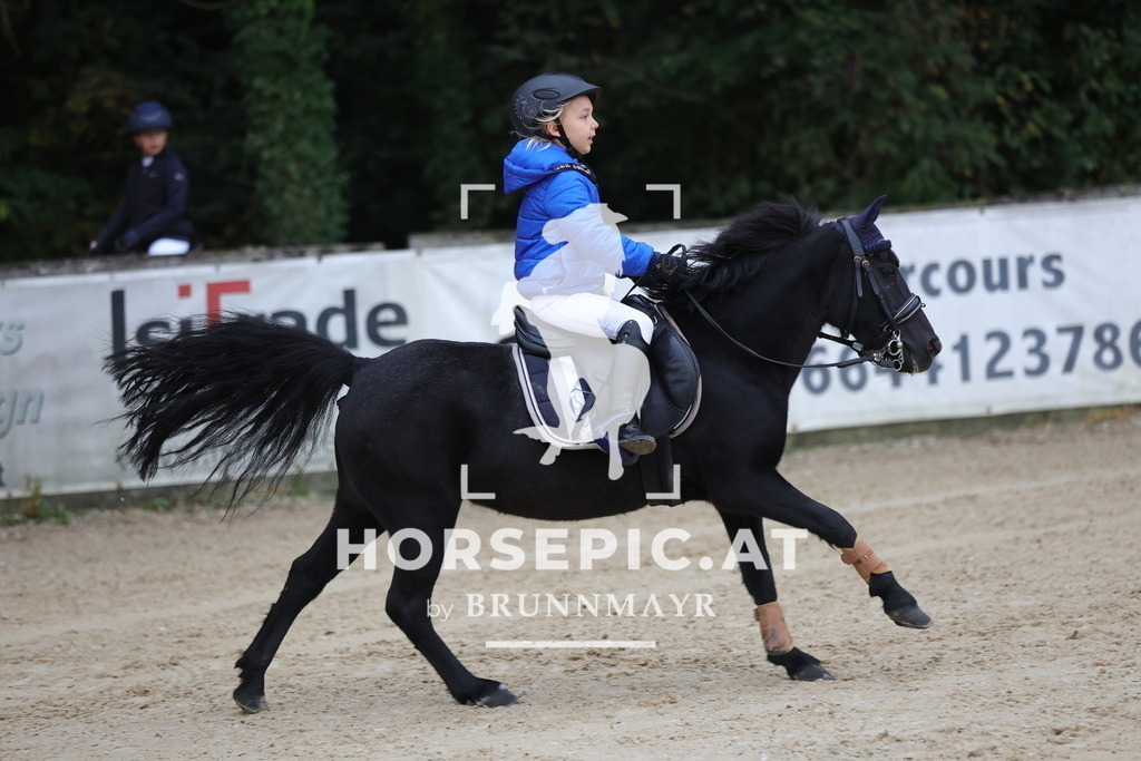 0P6A4704 | Willkommen bei Brunnmayr - Design & Fotografie – Ihrem Spezialisten für Reitturniere und Pferdeveranstaltungen in Oberösterreich, Salzburg und Bayern! Seit über 17 Jahren sind wir leidenschaftlich dabei.