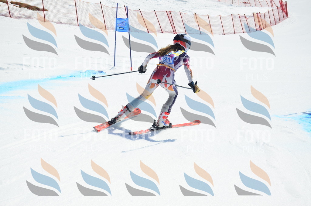 _ELE0745 | holidayphoto