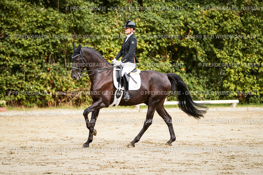 DSC02135 | Pferdegrafie