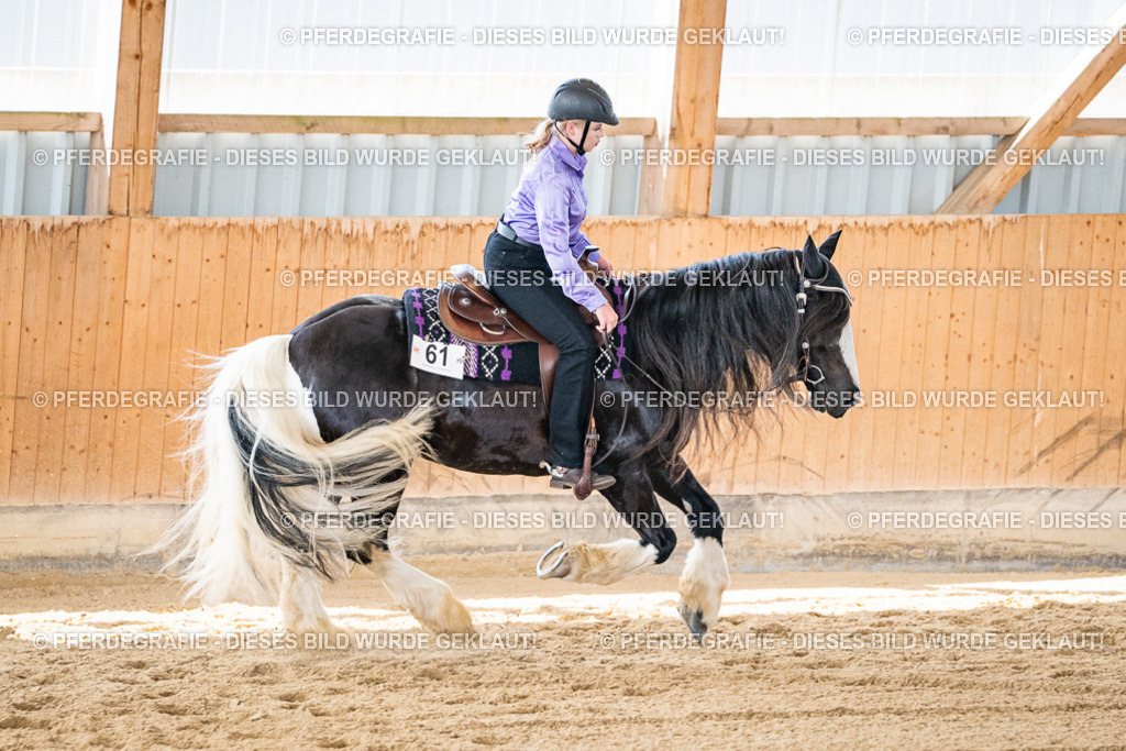 DSC03226 | Pferdegrafie