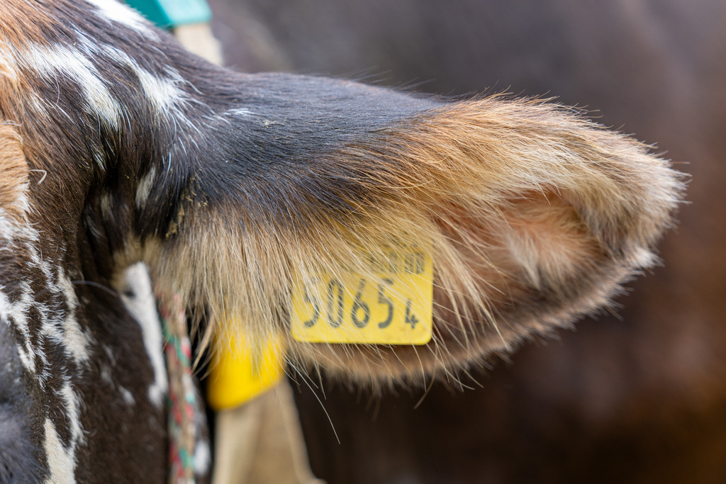 2023_09_23 A7V00048 | bridgeman - Realisiert mit Pictrs.com