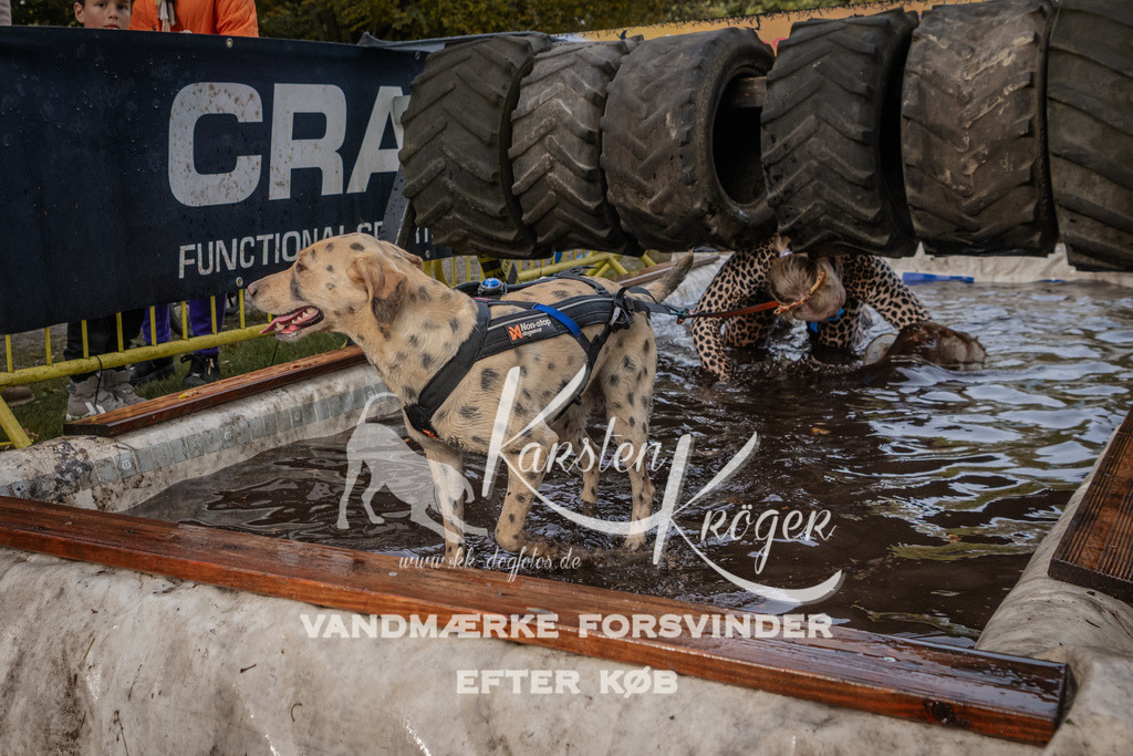 1447_ZZ90242 | kk-dogfotos