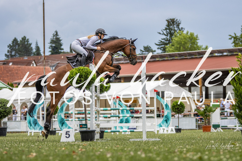 IMG_7366 | Erleben Sie dynamische Sport- und emotionale Tierfotografie in Süddeutschland mit Fotos von Paula. Spezialisiert auf Pferde- und Hundefotografie sowie Sportevents. Kontaktieren Sie mich für einzigartige und ausdrucksstarke Bilder Ihrer besonderen Momente. - Realisiert mit Pictrs.com