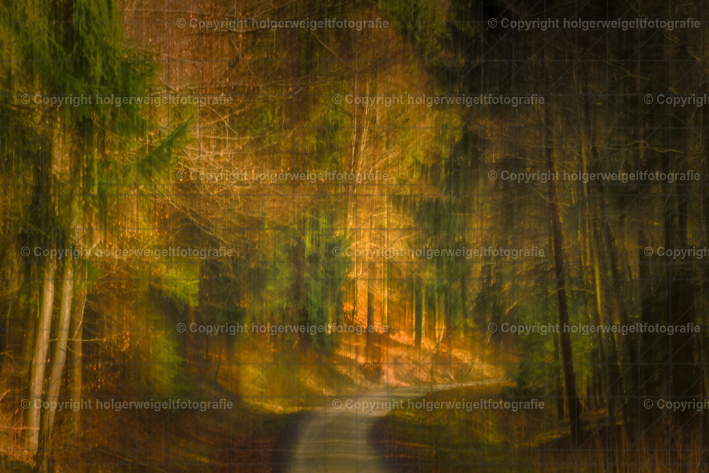Verwischte Realitäten: Ein Spiel aus Licht und Schatten im Wald der Illusionen | Kaufen sie online außergewöhnliche Fotografien auf Leinwand Acrylglas Fotoprint Aludibond von holgerweigeltfotografie - Realisiert mit Pictrs.com