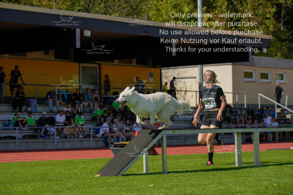 Sonntag_VK Hindernis (624 von 671) | stephaniefillaphotographie - Realisiert mit Pictrs.com