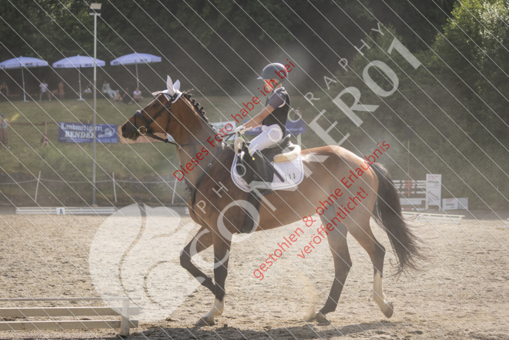 IMG_5775 | Sport-, Event- und Tierfotos in Profiqualität. Einfach auswählen, bestellen und herunterladen. Dein Moment – perfekt festgehalten.