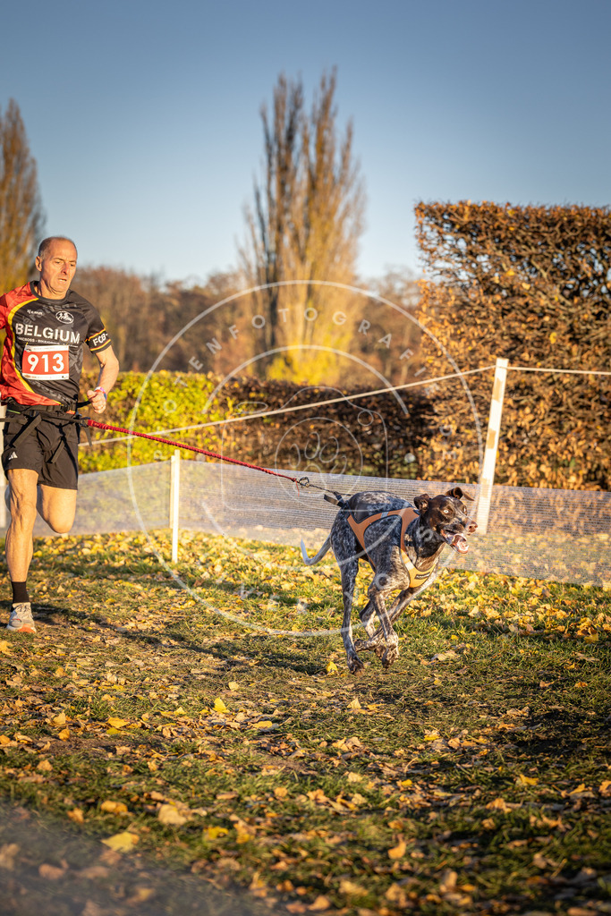 CaniXpix_DV3A4803 | Hundefotografie, Tierfotograf, Pfotenfotografie, Fotoshooting Hund, Hunde Portrait, Hundesport, Hundeportraits, Heideshooting, Hunde, Sportfotograf, Hundefotograf, Turnierhundsport, THS,  - Realisiert mit Pictrs.com