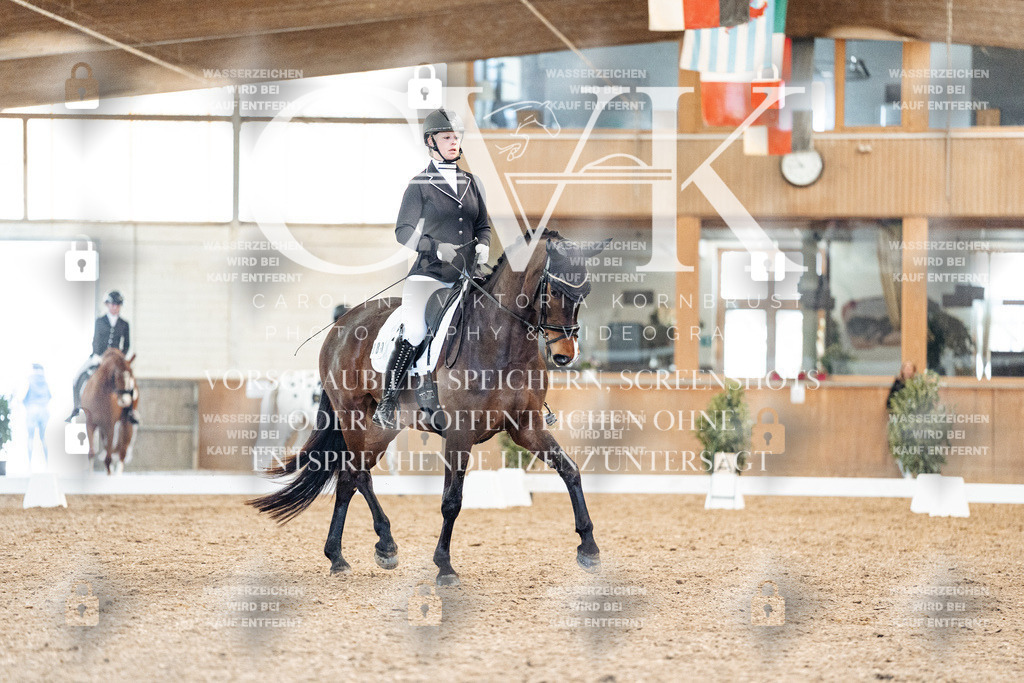 CK908766 | Turnierfotografie Pferdefotografie Trier Rheinland-Pfalz Pferdesport Reitsport Tierfotografie Sportfotografie Pferdevideo Pferdevideografie Equestrianvideography equestrianphotography  - Realisiert mit Pictrs.com
