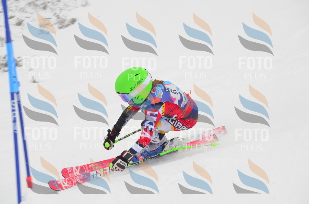 C1134 | holidayphoto