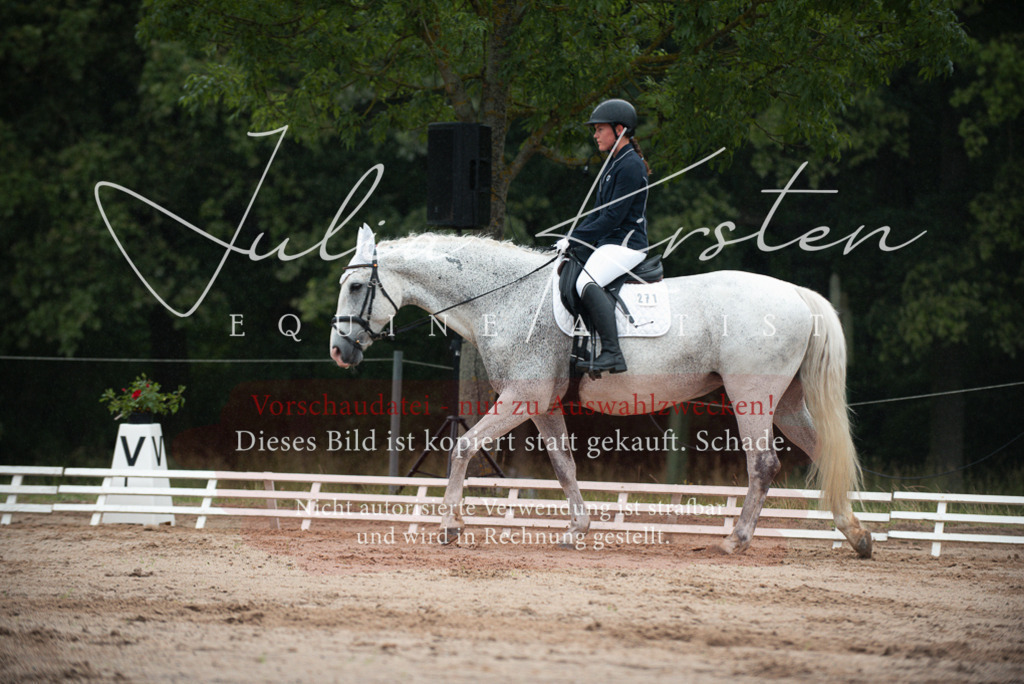 DSC_9706 | Pferde- und Turnierfotografie in Westsachsen. Pferdeportraits, Auftragszeichnungen und intuitive Kunst.