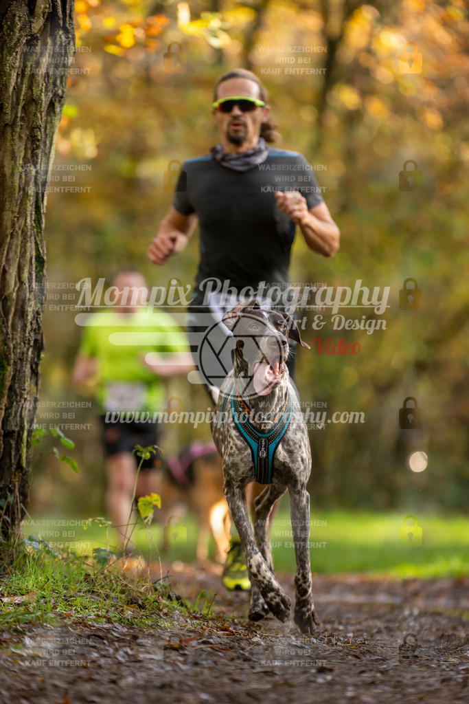 MompixPhotography_Bischwiller23_Canicross-109 | PayLife