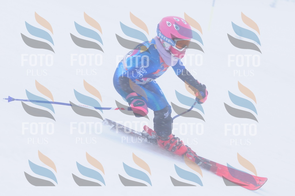 C2004 | holidayphoto