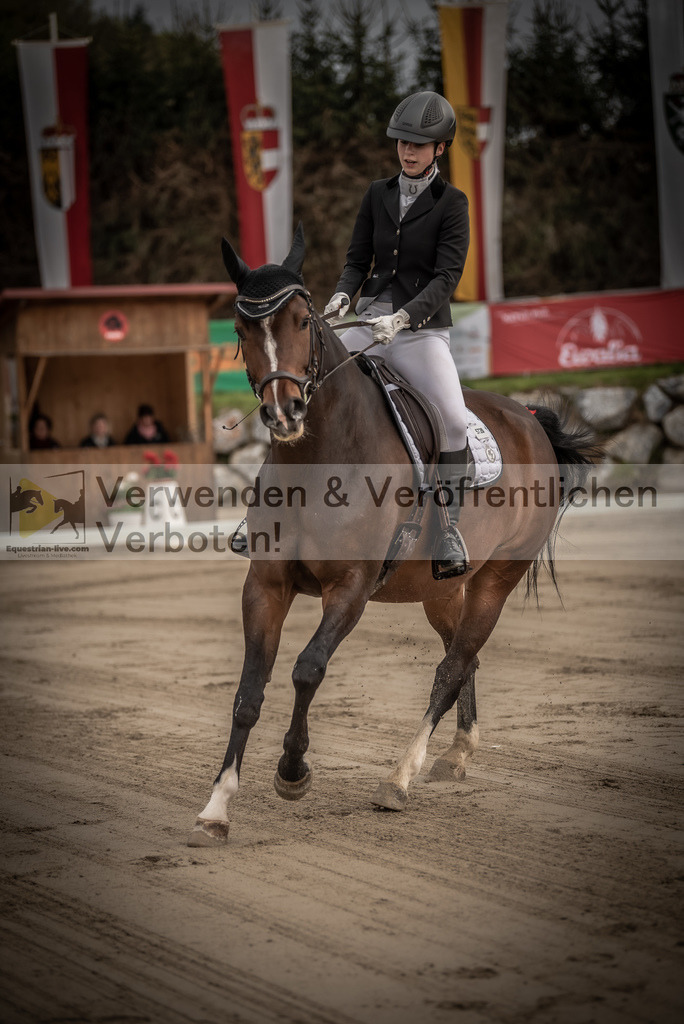 DSC_8146 | equestrian-live-com