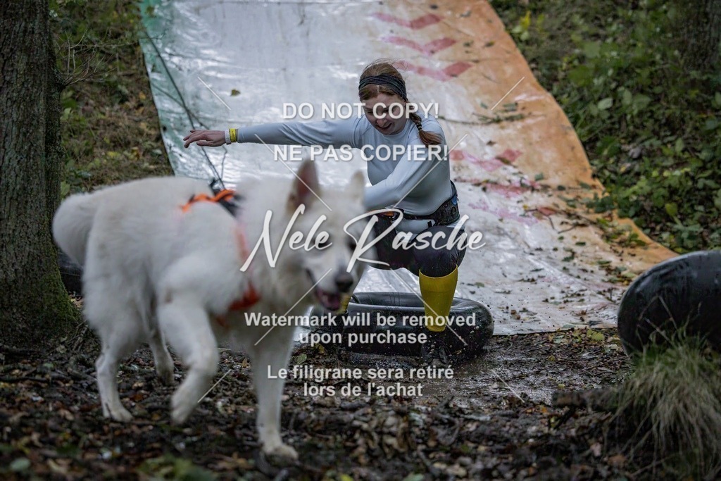 nelerasche_Hunsrück_Sa0800-0900_265-final | nelerasche