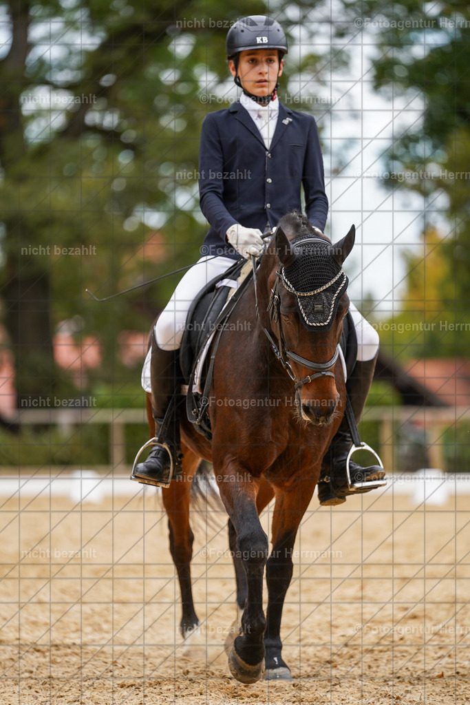20231007-SN_00561 | Diessen am Ammersee, 2023, Dressur- und Springturnier, Reitsport, Turnierfotografie, Pferdebilder, Reitbilder, Turnierfotografen Bayern, Fotoagentur Herrmann