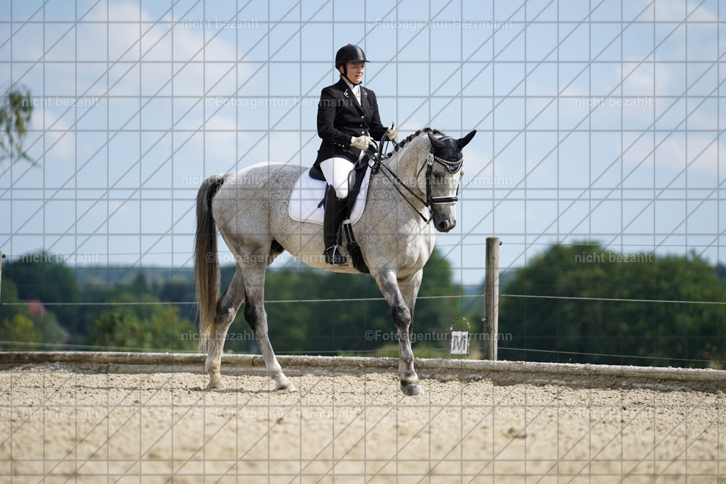 20230826-FAH05959 | Forstinning, 2023, Dressurturnier, Turniersportbilder, Turnierfotografen Bayern, Fotoagentur Herrmann, Reitsportfotografie, Turnierbilder