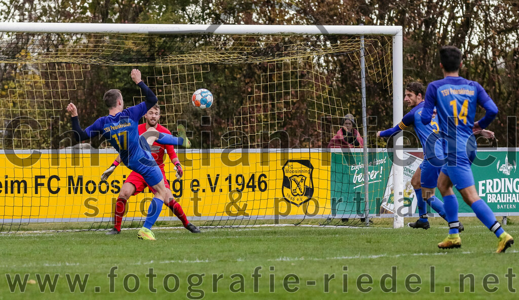 2023-11-11_019_FC_Moosinning_gegen_TSV_Peterskirchen | Moosinning, Deutschland, 11.11.2023:
Fußball, Bezirksliga Oberbayern Ost 2023 / 2024, 17. Spieltag, FC Moosinning gegen TSV Peterskirchen, Endergebnis: 5:0

Thomas Maier (TSV Peterskirchen, #17), Torwart Markus Mittermaier (TSV Peterskirchen, #1), Markus Schauberger (TSV Peterskirchen, #5)

Foto: Christian Riedel / fotografie-riedel.net