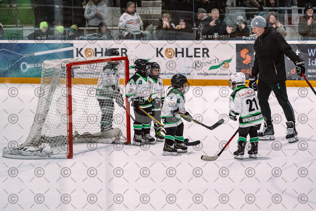 Alligators_vs_Erding_01_02_2026-24 | Höchstadt Alligators Fotogalerie: Eishockey-Action aus Franken. Professionelle Spielfotos, Portraits & Stadionbilder zum Download. Jetzt entdecken! - Realisiert mit Pictrs.com