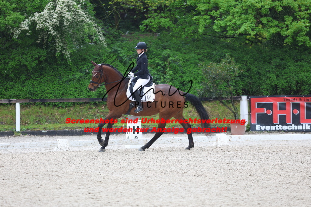 A40A8624 | lmwpictures - Realisiert mit Pictrs.com