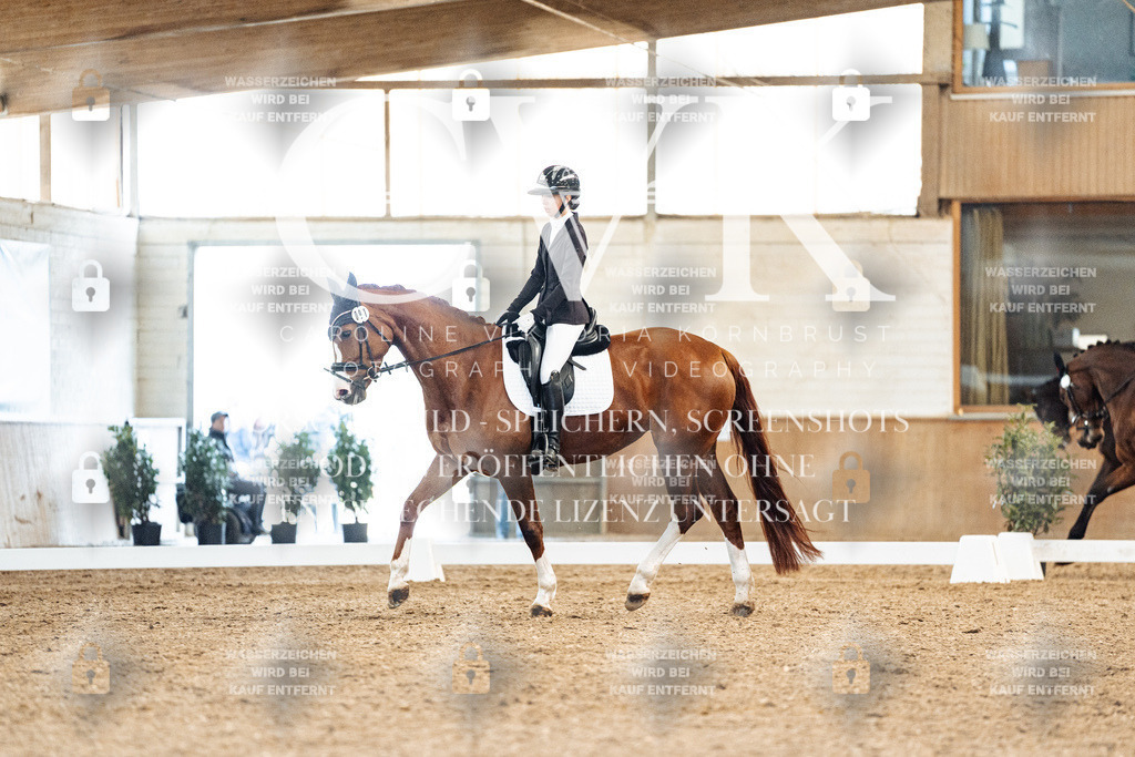 CK909027 | Turnierfotografie Pferdefotografie Trier Rheinland-Pfalz Pferdesport Reitsport Tierfotografie Sportfotografie Pferdevideo Pferdevideografie Equestrianvideography equestrianphotography  - Realized with Pictrs.com