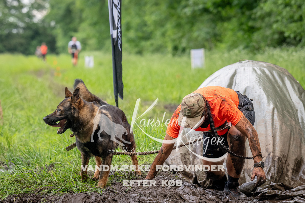 1522_ZZ93062 | kk-dogfotos