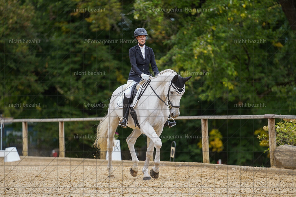 20231007-SN_00705 | Diessen am Ammersee, 2023, Dressur- und Springturnier, Reitsport, Turnierfotografie, Pferdebilder, Reitbilder, Turnierfotografen Bayern, Fotoagentur Herrmann
