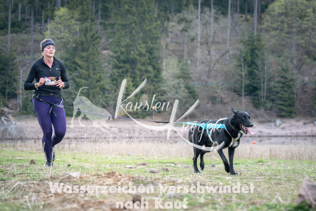 1816_ZZ95162 | kk-dogfotos