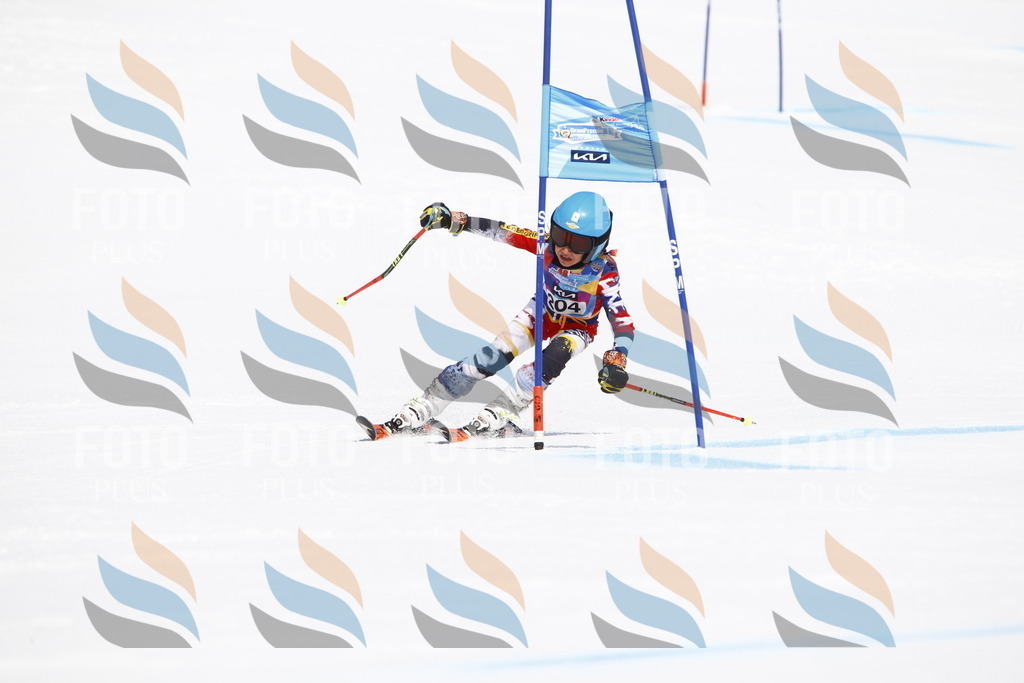 _U3G5291 | holidayphoto